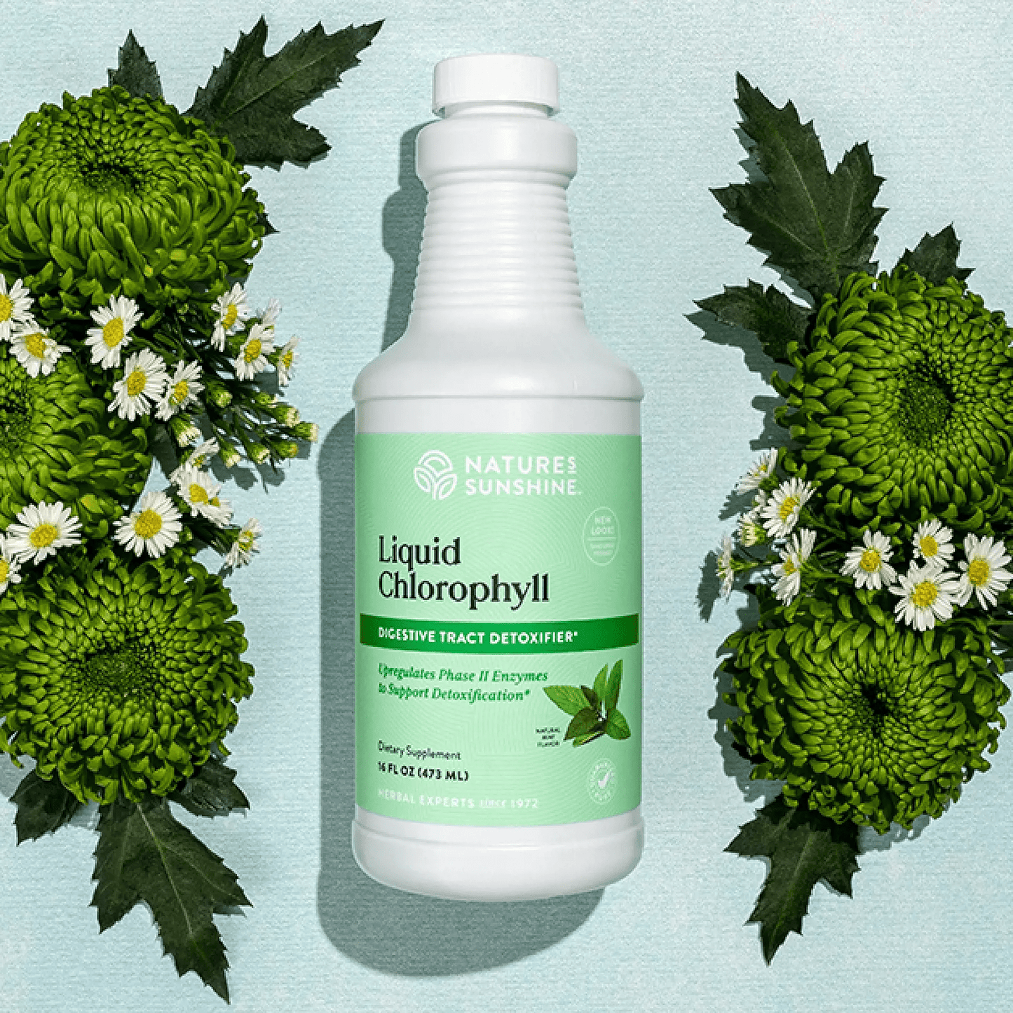 Nature's Sunshine - Liquid Chlorophyll